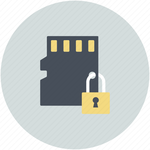 Lock sign, microchip, mobile sim, sd card, security system icon - Download on Iconfinder