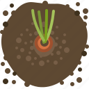 carrot, earth, farm, garden, seeding, vegetable