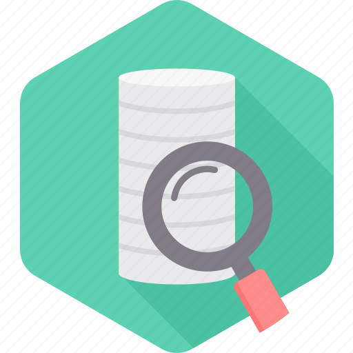 Data, database, search, magnifier, magnifying, server, storage icon - Download on Iconfinder