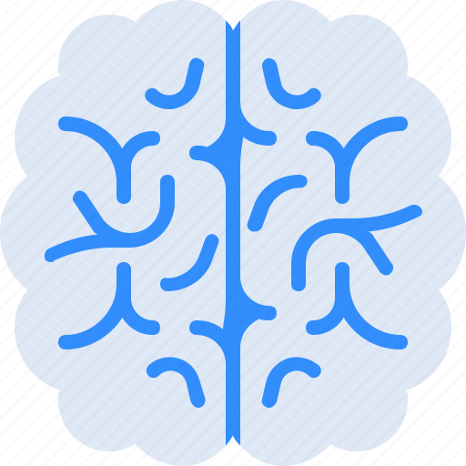 Brain, intelligence, science, education, genius, anatomy, creativity icon - Download on Iconfinder
