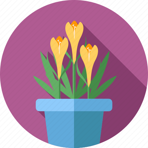 Flower, plant, nature, garden, eco, gardening icon - Download on Iconfinder