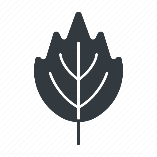 Leaf, plant, leaves, natural, nature, maple, autumn icon - Download on Iconfinder