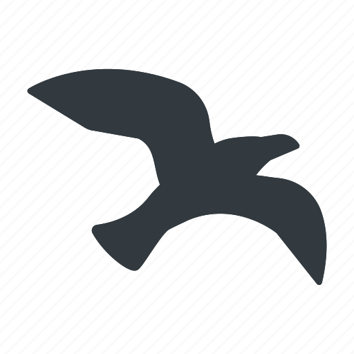 Bird, seagull, sea, nature, gull, animal, wildlife icon - Download on Iconfinder