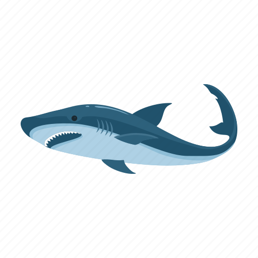 Animal, cute, fish, marine, predator, shark, wild icon - Download on Iconfinder
