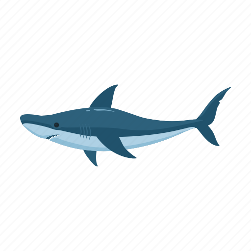 Animal, cute, fish, marine, predator, shark, wild icon - Download on Iconfinder