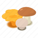 champignon, edible, food, fungus, isometric, mushroom, object 