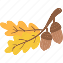fall, acorn, autumn, thanksgiving