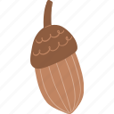 fall, acorn