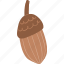 fall, acorn 