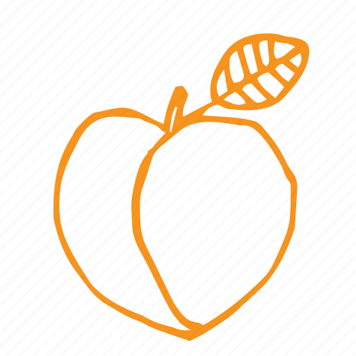 Eat, flavor, food, fruit, peach, sketch, smoothie icon - Download on Iconfinder