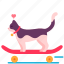 skateboard, cat, love, heart, sport, happy 