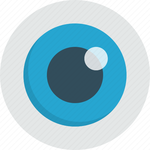 Eye, look, optic, watch, see, view icon - Download on Iconfinder