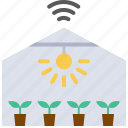 greenhouse, agriculture, nursery, thermometer, technology, light, plant, growth, smart farm