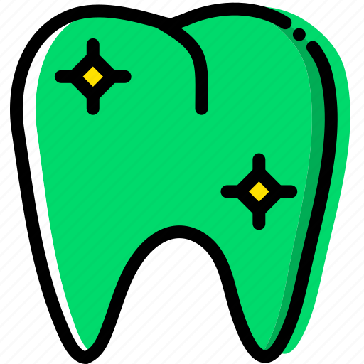 Health, healthcare, healthy, medical, premolar icon - Download on Iconfinder