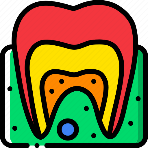Anatomy, dental, health, healthcare, medical icon - Download on Iconfinder