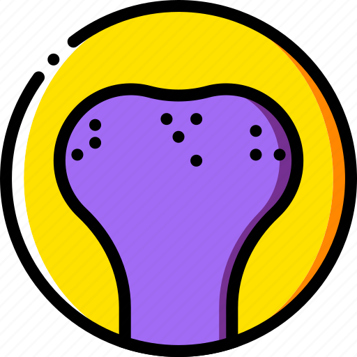 Bone, health, healthcare, medical, spongy icon - Download on Iconfinder