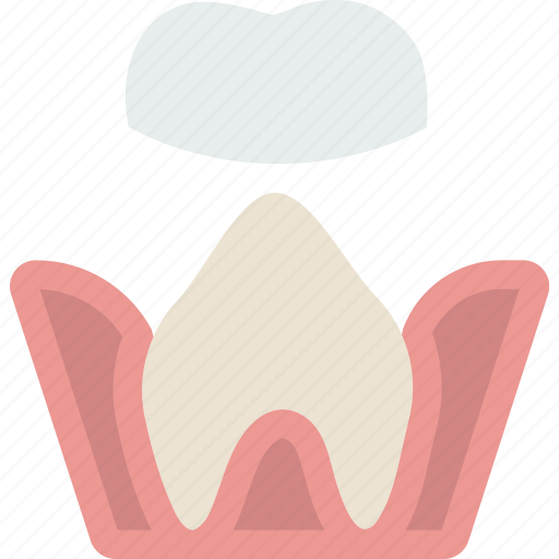 Health, healthcare, medical, molar, root, treatment icon - Download on Iconfinder