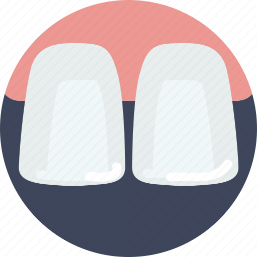 Health, healthcare, incisors, medical, upper icon - Download on Iconfinder