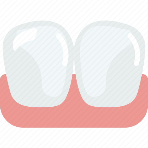 Central, health, healthcare, incisors, lower, medical icon - Download on Iconfinder