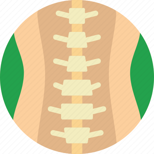Cord, health, healthcare, medical, segment, spinal icon - Download on Iconfinder