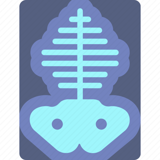 Health, healthcare, medical, ray, x icon - Download on Iconfinder