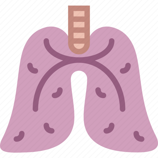 Health, healthcare, lungs, medical icon - Download on Iconfinder
