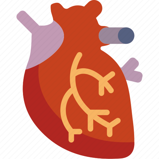 Cardiac, health, healthcare, medical, muscle icon - Download on Iconfinder