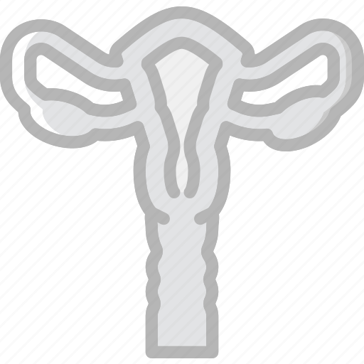 Health, healthcare, medical, uterus icon - Download on Iconfinder