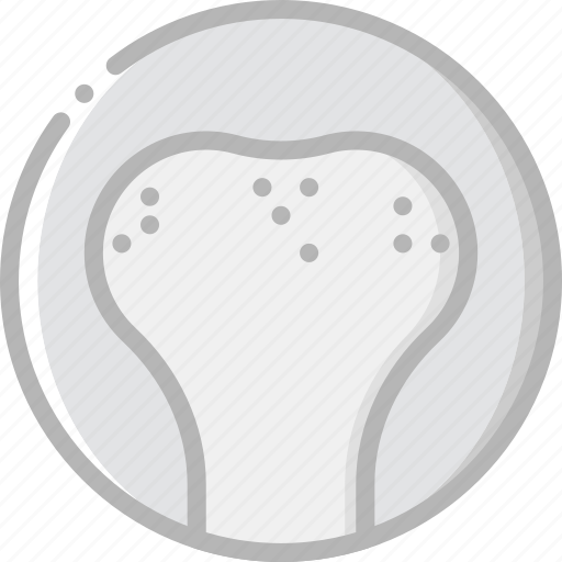 Bone, health, healthcare, medical, spongy icon - Download on Iconfinder