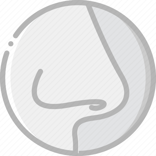 Cavity, health, healthcare, medical, nasal icon - Download on Iconfinder