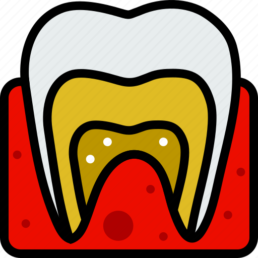 Anatomy, dental, health, healthcare, medical icon - Download on Iconfinder