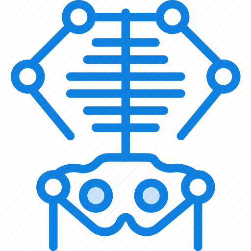 Health, healthcare, medical, skeleton icon - Download on Iconfinder