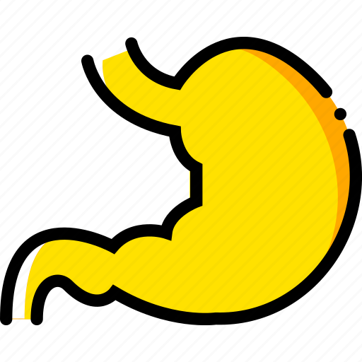 Health, healthcare, medical, stomach icon - Download on Iconfinder
