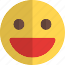 grinning, emoticons, smiley, and, people