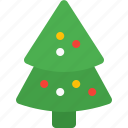 christmas, tree, plant, nature, garden, decoration, holiday, xmas, snow