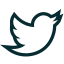 bird, news, tweet, twitter 