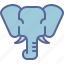 postgres, server, database, elephant 
