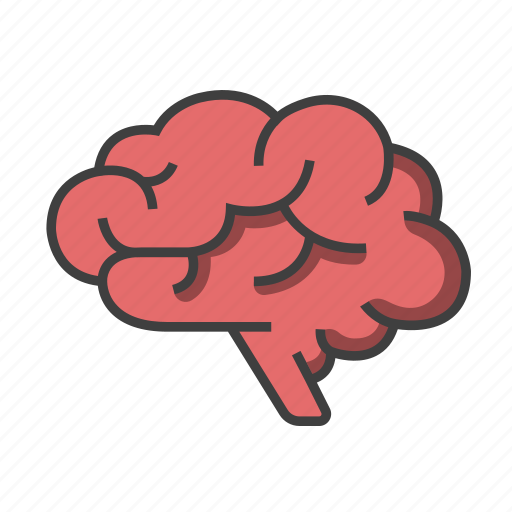 Brain, clever, creativity, head, intelligence, memory, thought icon - Download on Iconfinder