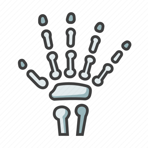 Bone, doctor, finger, hand, joint, medical, physician icon - Download on Iconfinder