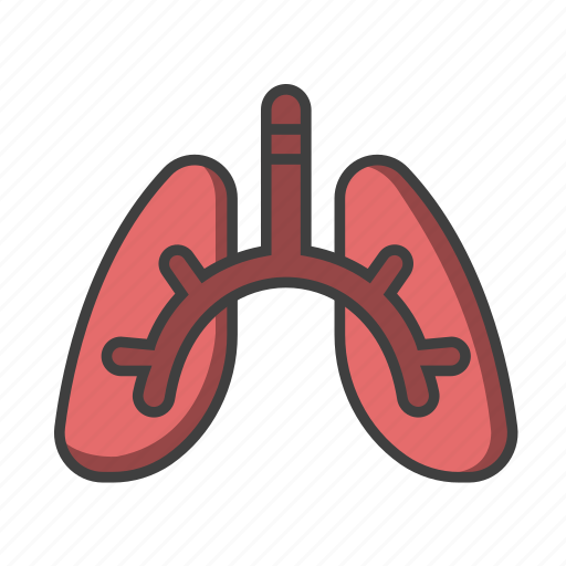 Breath, lung, medical, organ, oxygen, respiratory icon - Download on Iconfinder