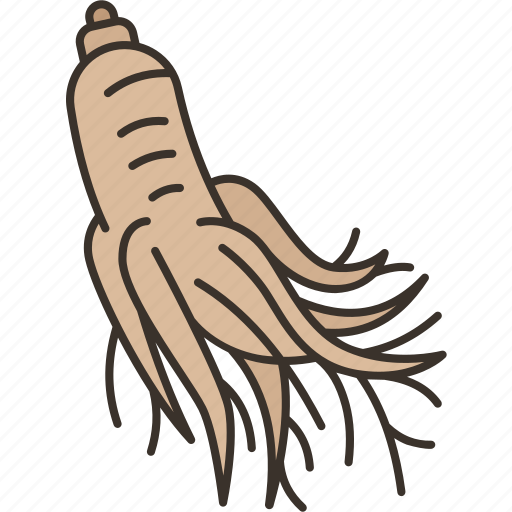 Ginseng, roots, herbal, food, medicine icon - Download on Iconfinder