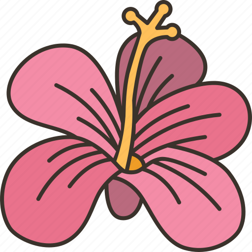 Hibiscus, flower, blossom, garden, nature icon - Download on Iconfinder