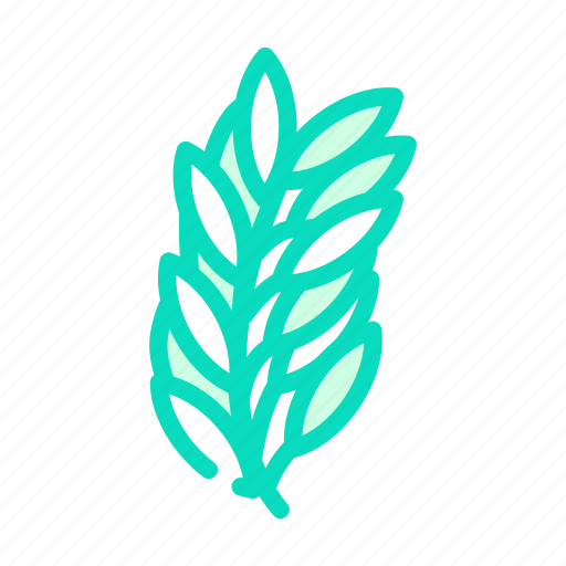 Rosemary, leaves, spice, vegetable, food, vanilla, sticks icon - Download on Iconfinder