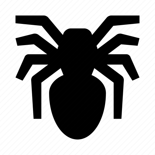 Spider, tarantula, arachnid, halloween, insect, spiderman icon - Download on Iconfinder