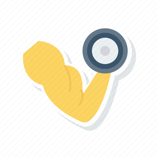 Biceps, exercise, weights, workout icon - Download on Iconfinder
