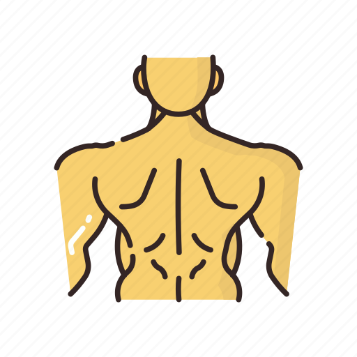 Back, sports, training, fitness, gym, muscle, strong icon - Download on Iconfinder