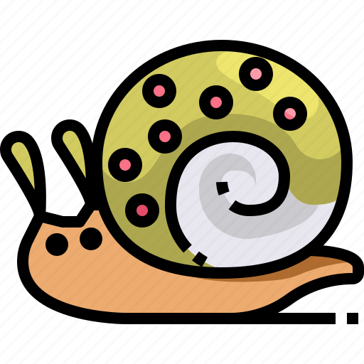 Animal, animals, kingdom, life, snail, wild, zoo icon - Download on Iconfinder