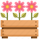 botanical, flower, gardening, plant, pot
