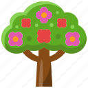 flower, tree, plant, wood, nature, forest