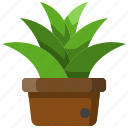 plant, pot, garden, clay, leaf, decoration